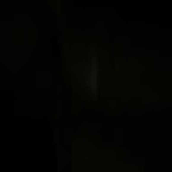 sweepingpuppet2